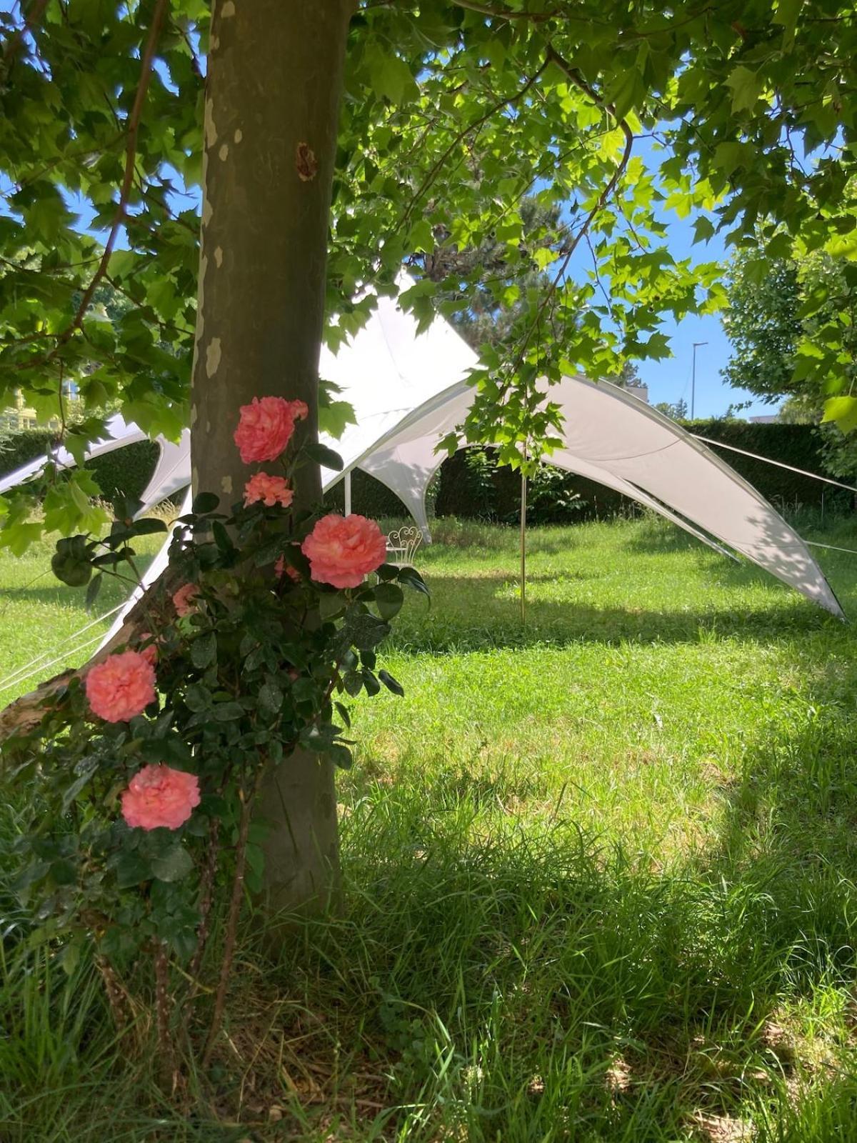 La Garconniere Villa Colombier  Eksteriør bilde